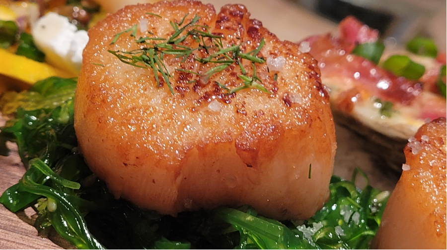 Pétoncle Poelé, huile de safran